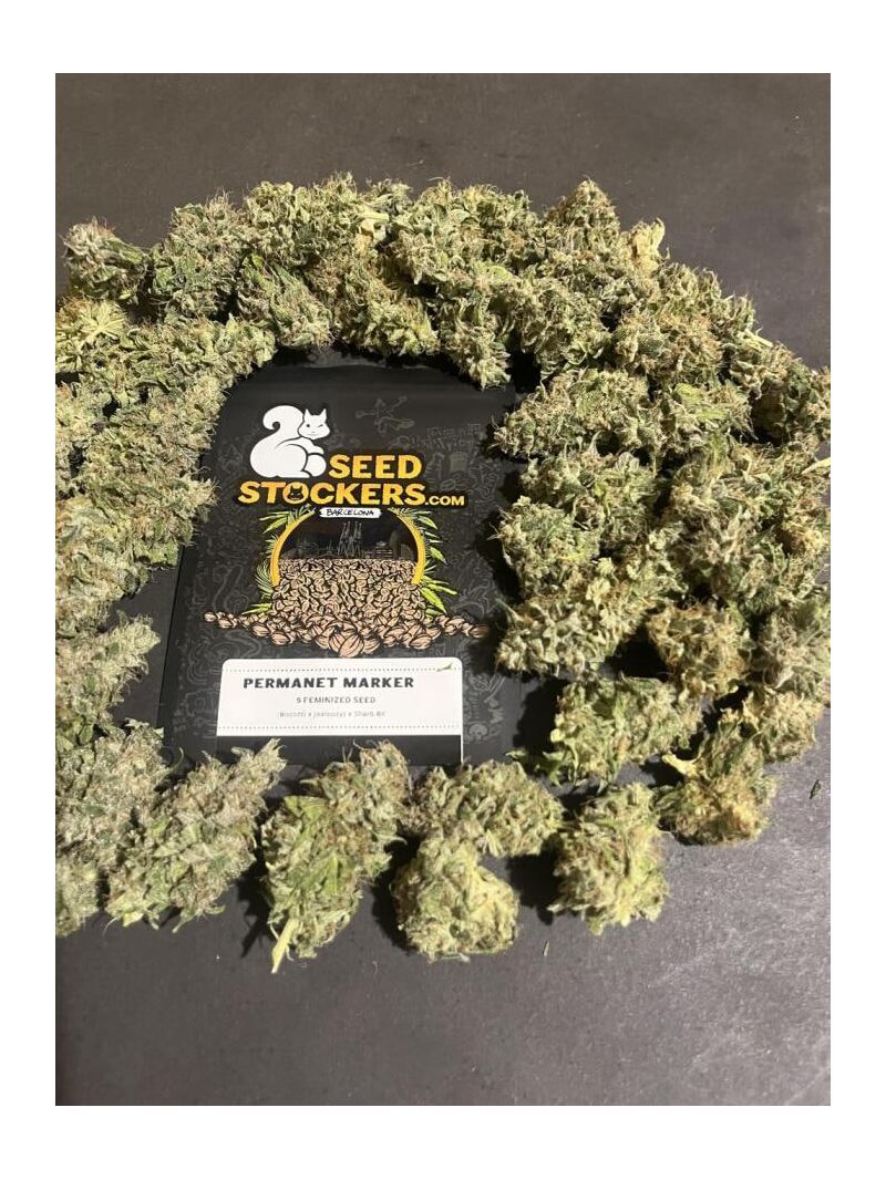 Permanent Marker, Фасовка: 1, изображение 4